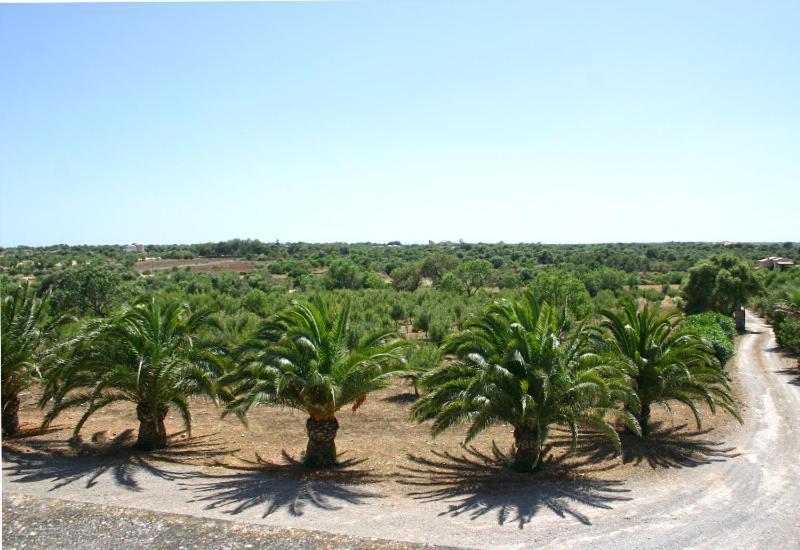 Son Fumat Llombarts Exterior photo